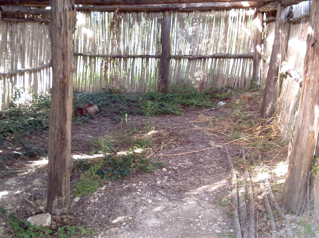 Giardino Botanico "Michele Tenore"景点图片
