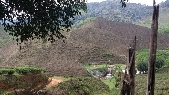 Cameron Highlands Trail No. 10景点图片