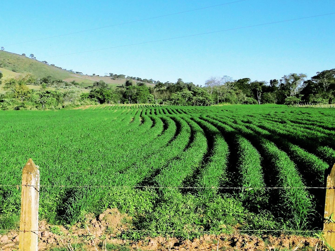 Sao Jose da Cruz das Caveiras