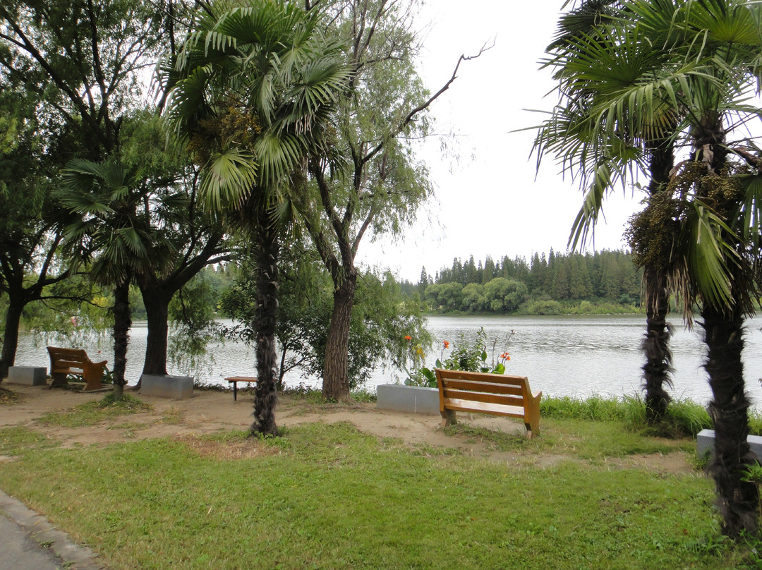 东平国家森林公园-崇明县必去景点