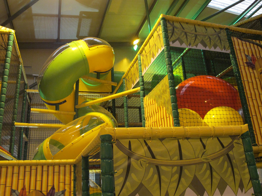 Jungle Madness Soft Play景点图片