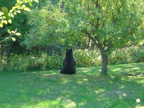 Naked Bear Bed & Breakfast-客卧