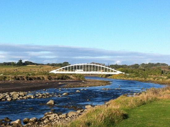 Te Rewa Rewa Bridge-新普利默斯必去景点