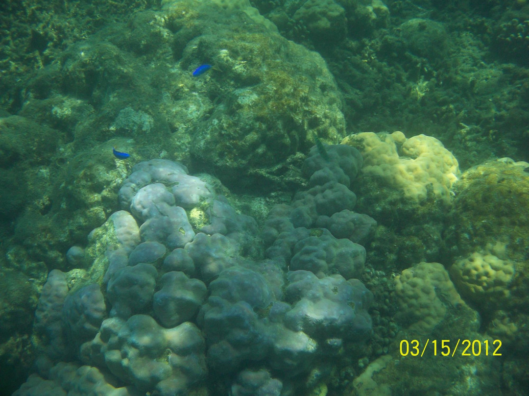 Pandan Island-明多洛岛必去景点