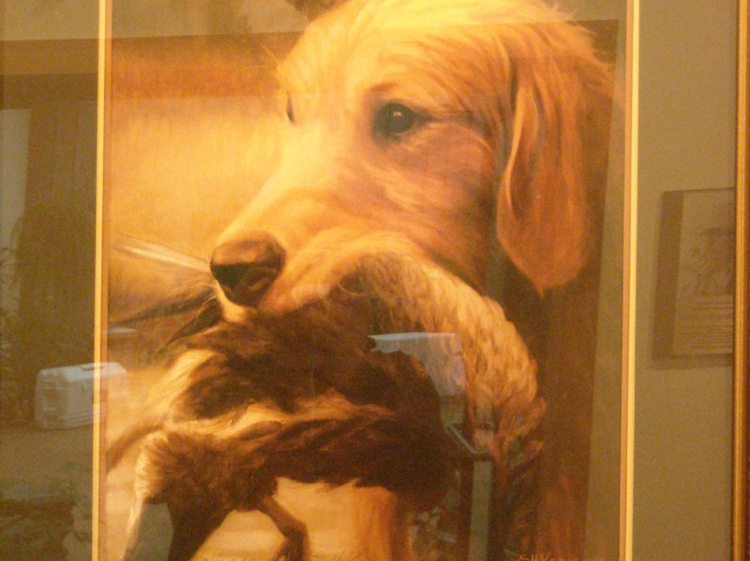 National Bird Dog Museum景点图片