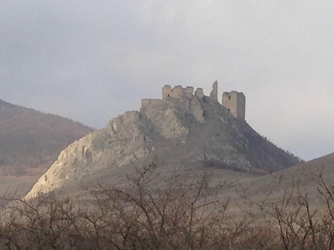 Coltesti Castle Ruins景点图片