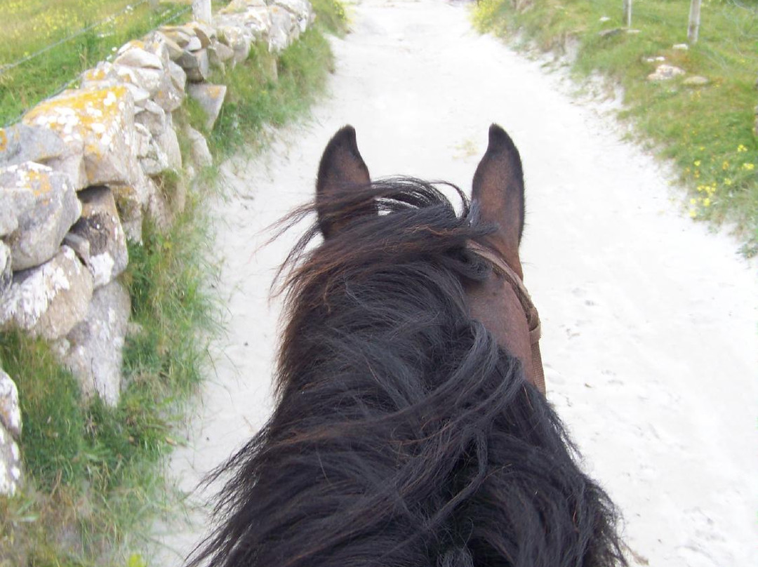 The Connemara Trail Tour-Loughrea必去景点