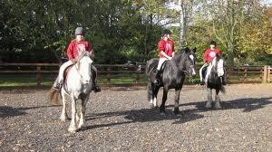 Wythenshawe Park Riding Stables景点图片