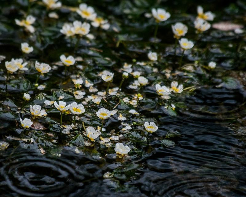 玉渡山自然风景区-北京市必去景点