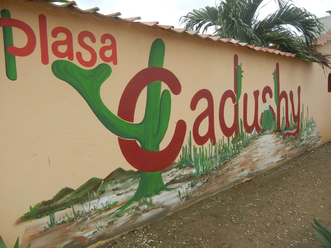 The Cadushy Distillery-Rincon必去景点