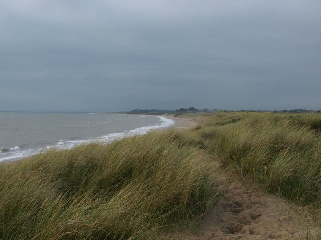 Ballinoulart Beach景点图片