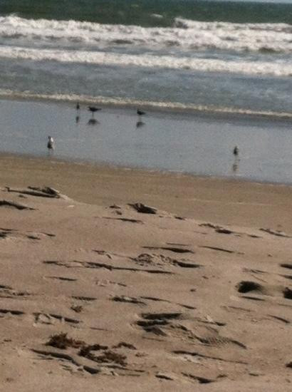 Cocoa Beach景点图片