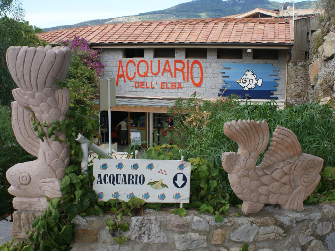 Acquario dell'Elba景点图片