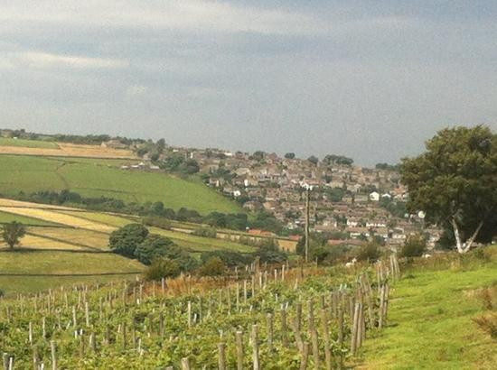 Holmfirth Vineyard