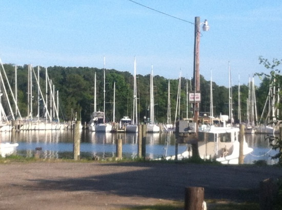 The Black Duck Inn and Dockside Cafe主图