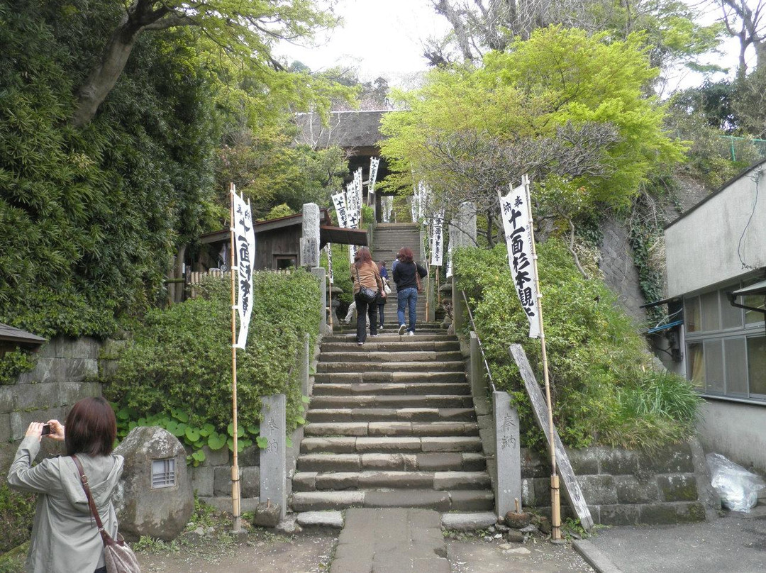 Sugimotodera Temple景点图片