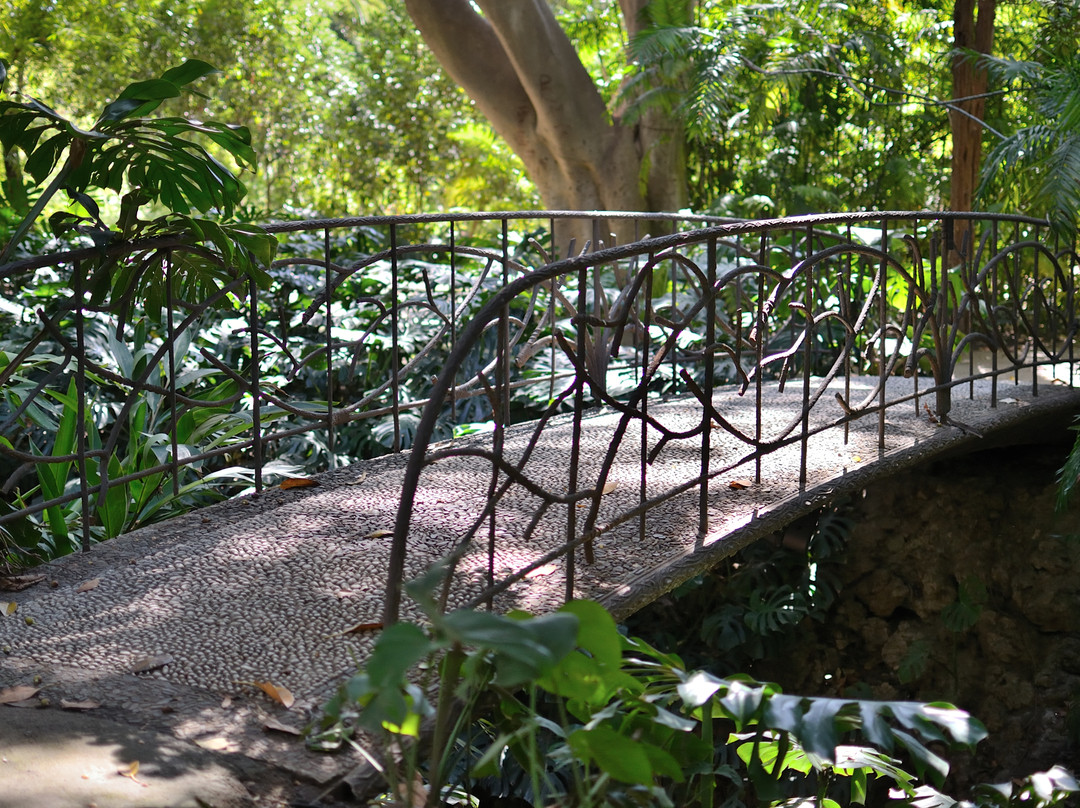 Jardin Botanico Historico La Concepcion景点图片