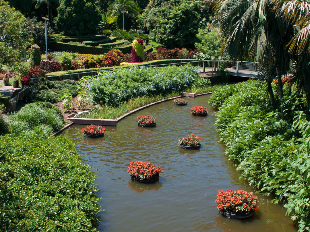 罗马大街公园-布里斯班必去景点