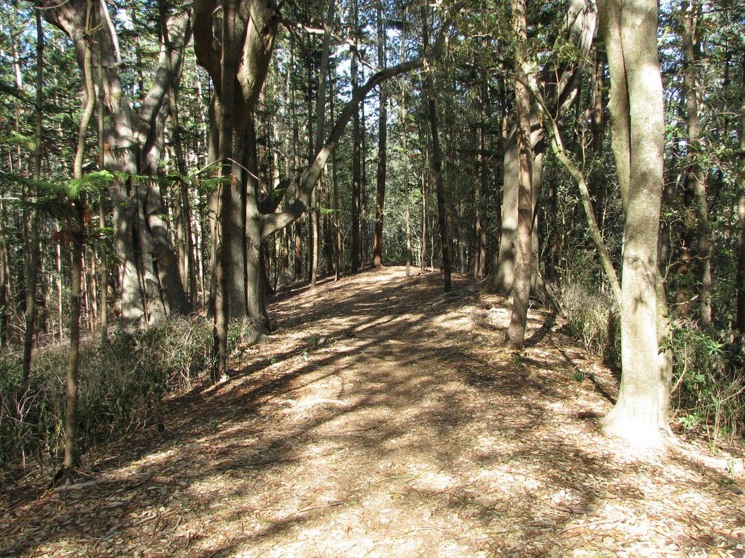 Hundred Acres Reserve景点图片