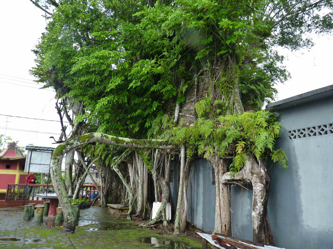 Banyan Tree Temple景点图片
