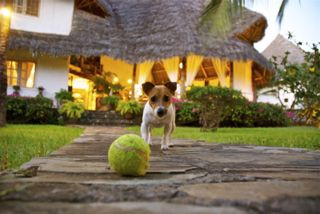 Simba House