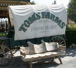 Tom's Farms-Temescal Valley必去景点