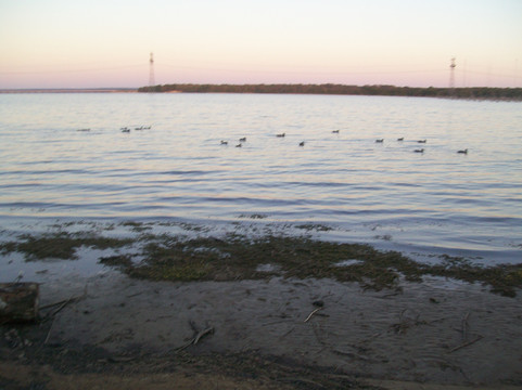 Loyd Park-大草原城必去景点