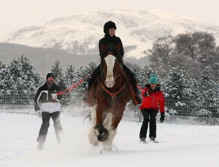 Highland Horse Fun Kingussie景点图片