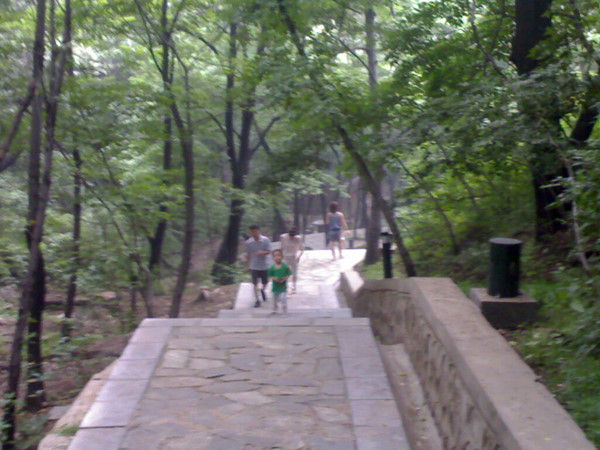 凤凰谷森林公园-运城市必去景点