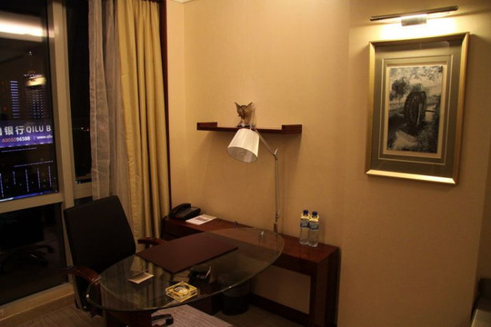 银座泉城大酒店主图