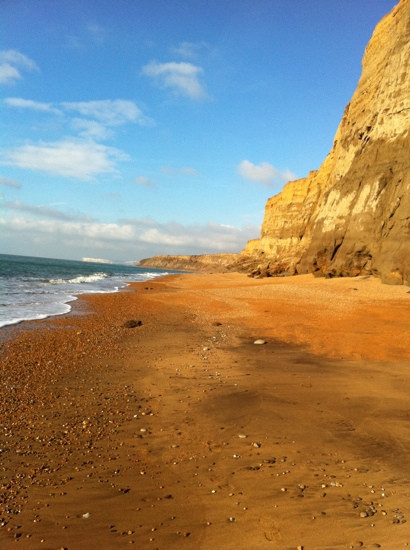 Isle of Wight Fossil Hunts - Island Gems景点图片