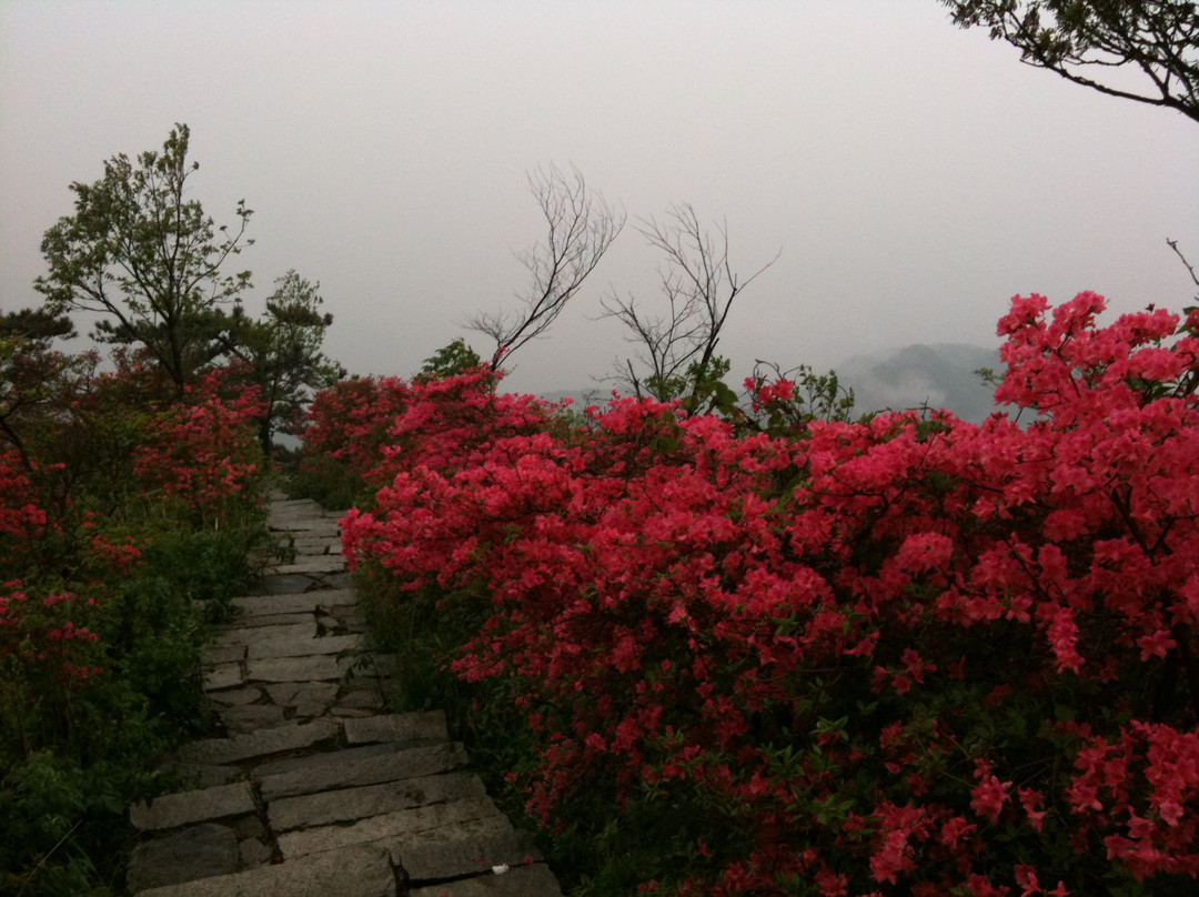 龟峰山-黄冈市必去景点