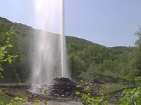Geysir Andernach景点图片
