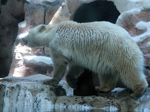 杭州极地海洋世界-杭州市必去景点