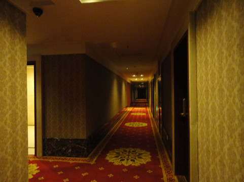 熊猫金陵大酒店主图