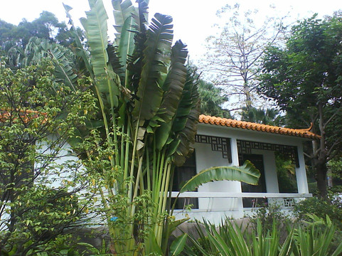 中山温泉宾馆主图