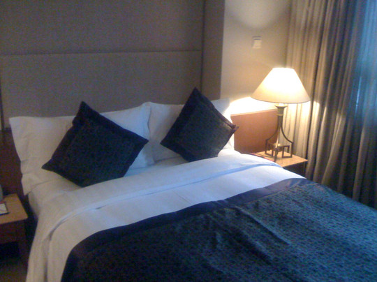 上海虹桥雅高美爵酒店主图