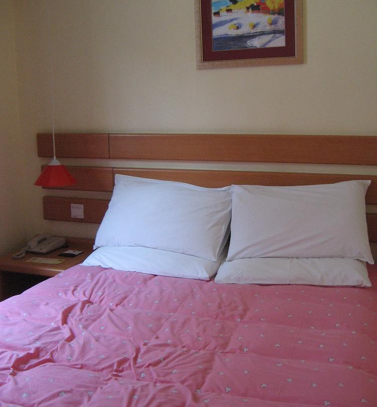 洛阳如家王城公园店主图