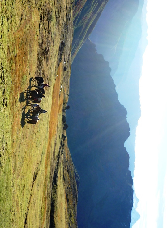 Red de turismo Comunitario Pehuenche Trekaleyin景点图片