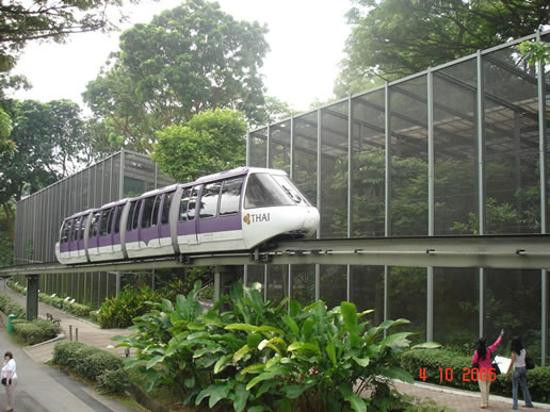 裕廊飞禽公园-新加坡必去景点