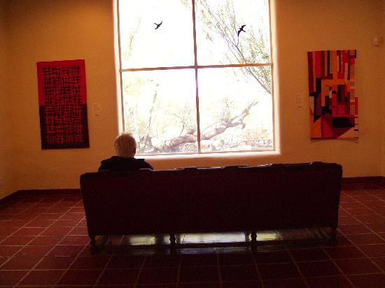 Tohono Chul-图森必去景点