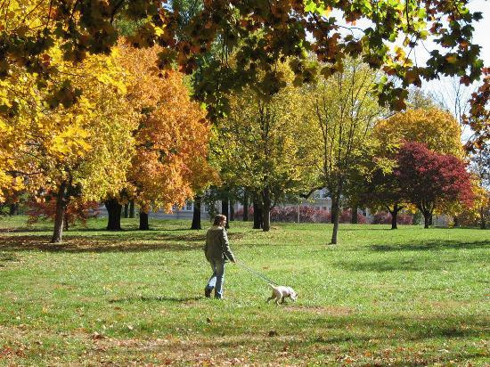森林公园-圣路易斯必去景点
