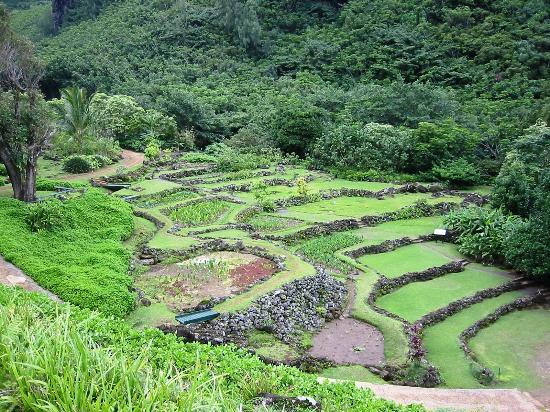 Limahuli Garden and Preserve-哈纳雷伊必去景点