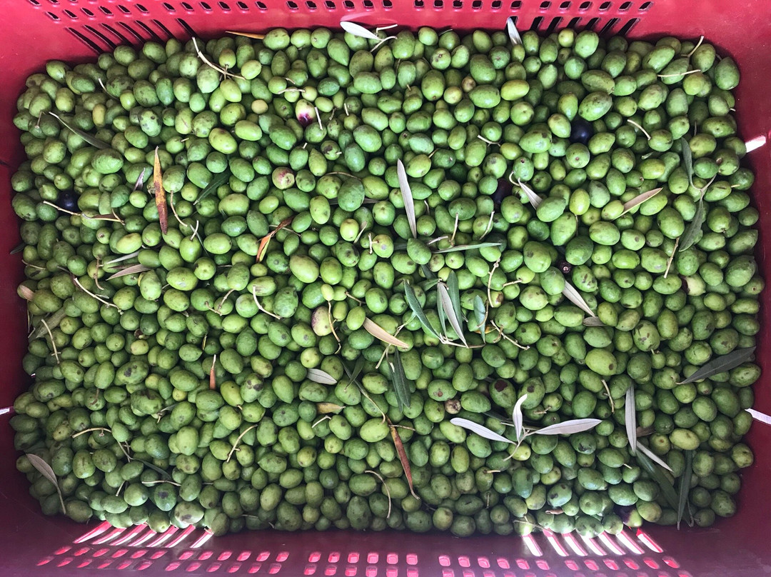 Magadu Olival-Maria da Fe必去景点