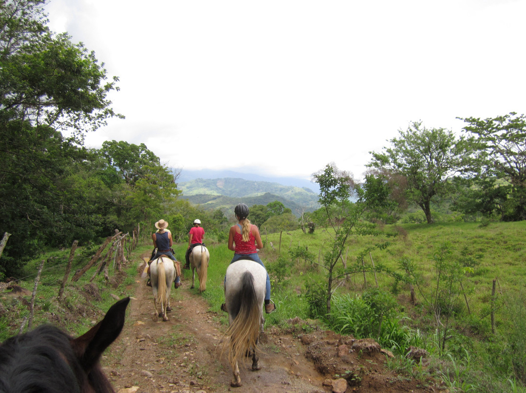 Establo San Rafael Natural Horsemanship景点图片