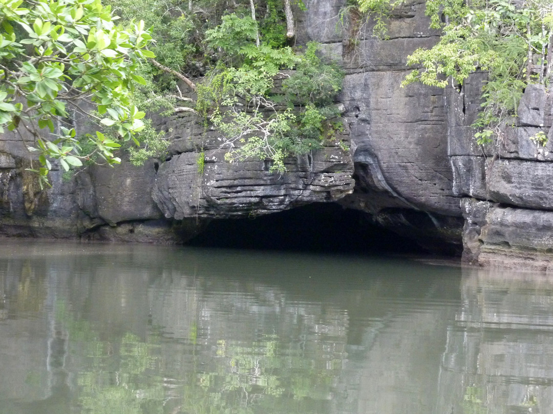 Natasha's Mangrove Nature Tour-兰卡威必去景点