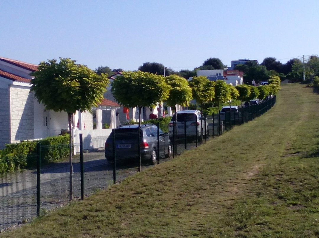 Vilcam