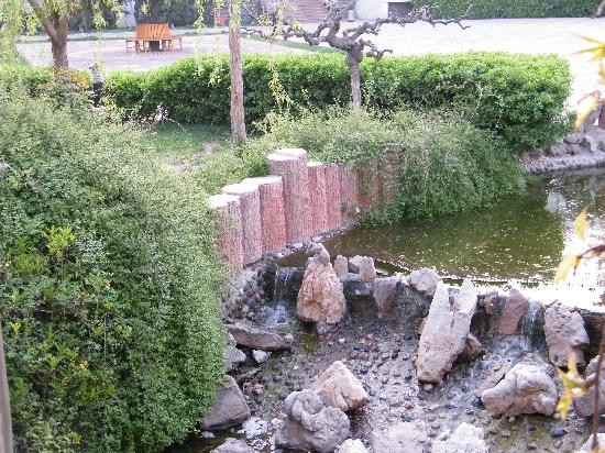 大鹏国际大酒店主图