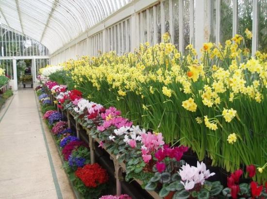 Botanic Gardens-贝尔法斯特必去景点