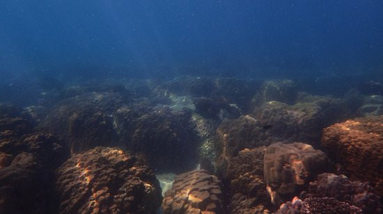 Scuba Diving Pattaya景点图片